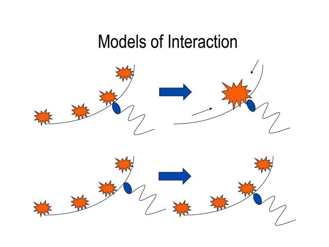 Cell-cell Recognition